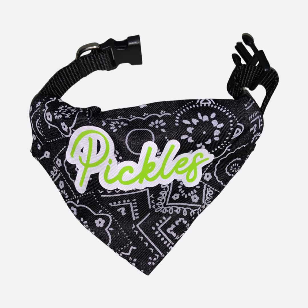 Custom Collar | Personalized Pet Bandana