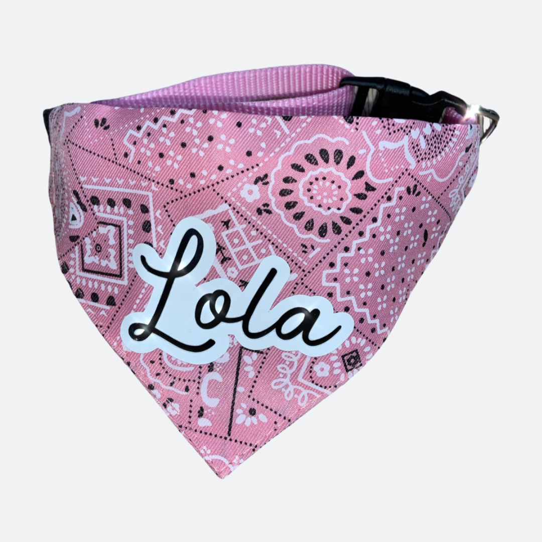 Custom Collar | Personalized Pet Bandana