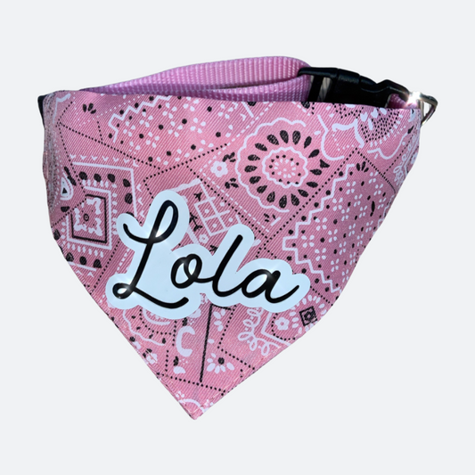 Custom Collar | Personalized Pet Bandana